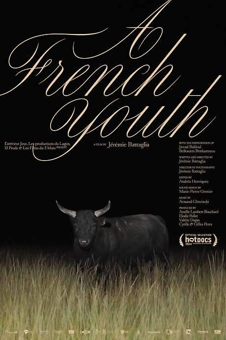 A French Youth